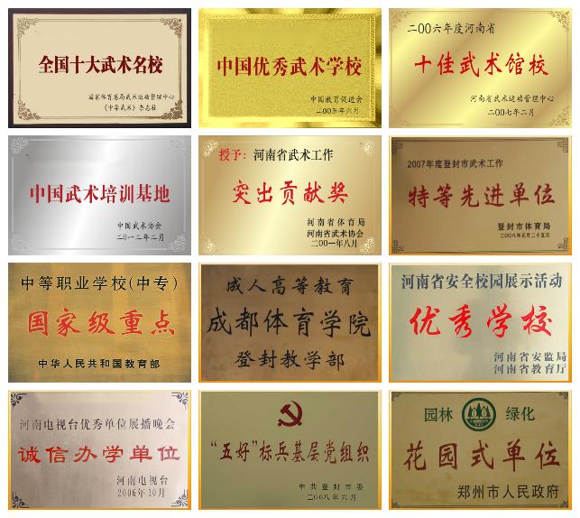 嵩山少林小龙文武学校