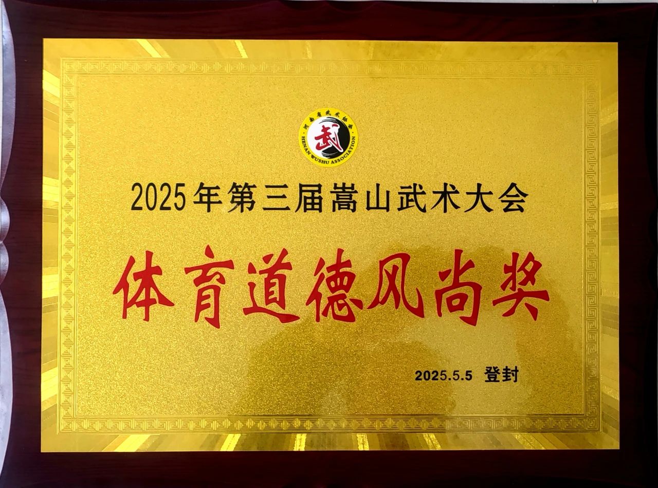 少林小龙武校在2025第三届嵩山武术大会上荣获138金58银19铜