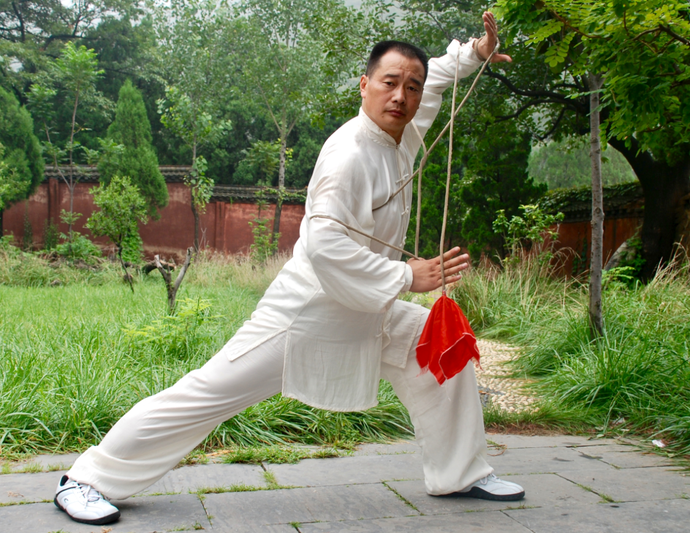 《郑州日报》特别栏目“功夫郑州奇遇记”系列报道：“少林软兵之王” 用一生诠释一份热爱！