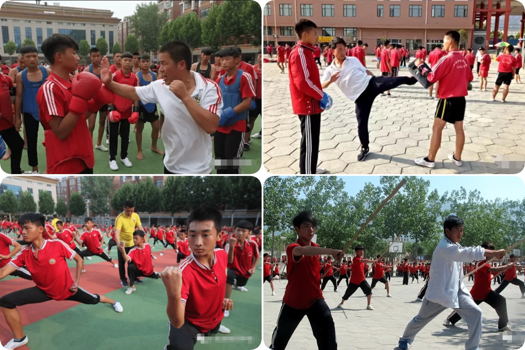 少林武术学校 稿定设计导出-20200924-101223.jpg