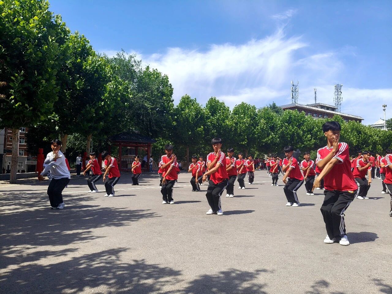少林小龙武校